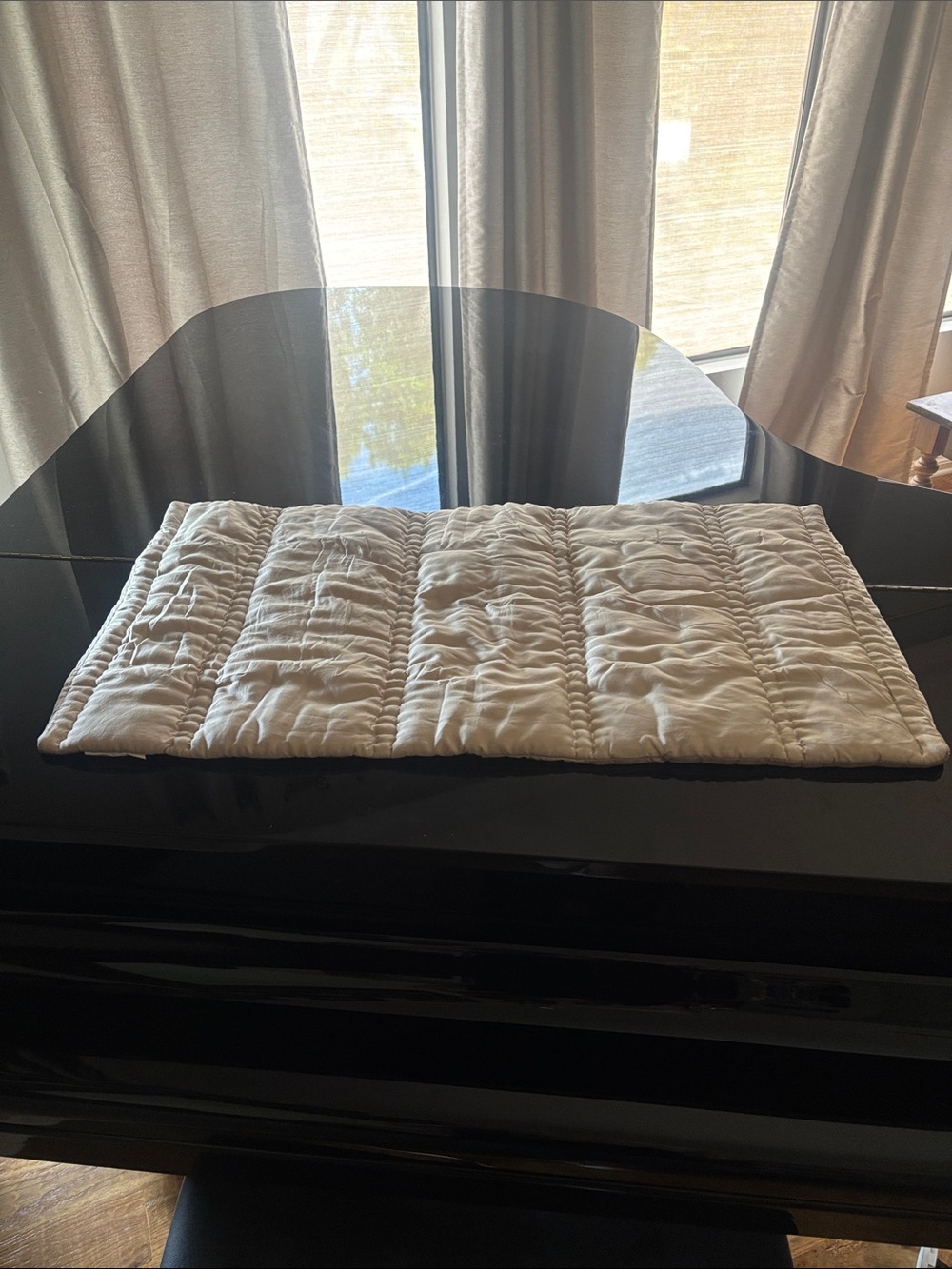 West Elm Silky TENCEL™ Plush Sham 20x36 EUC sand